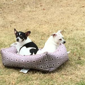 Meet your Posher, Michelle